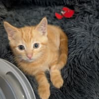 Photo of Splash