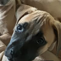 Photo of ⛰️ Coromandel's Litter (Part 1) ⛰️