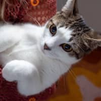 Photo of Penny & Essie 