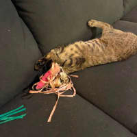 Photo of Lucie