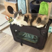 Photo of Pepper