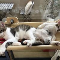 Photo of Ben And Jerry