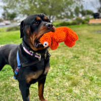 Photo of Zeus