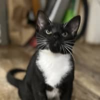 Photo of Jet