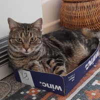 Photo of Pepper