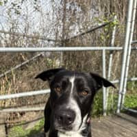 Photo of Max