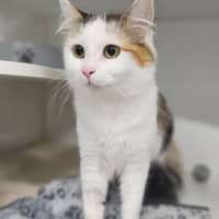 Photo of Mimi