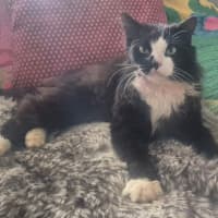 Photo of Cain (0004)