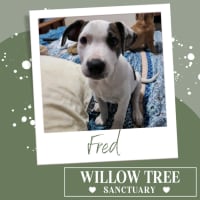 Photo of Fred
