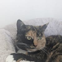 Photo of 🌖 Agatha 6518 🌖