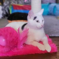 Photo of 9761   Acadia