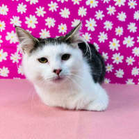 Photo of Edith   Located In Brunswick East