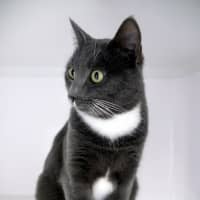 Photo of Tuna Rsta012365