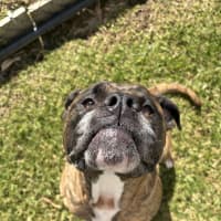 Photo of Cash