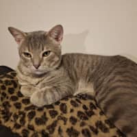 Photo of Grumbles