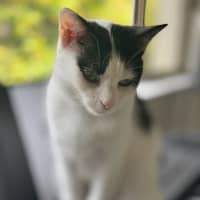 Photo of Ariana Grande