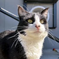 Photo of Hondo Sta013298