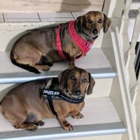 Photo of Harry / Sally