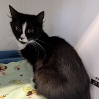Photo of Delores