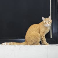 Photo of Archie Boi (Previously Archie)