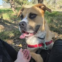 Photo of Tilly
