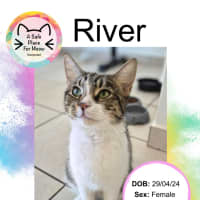 Photo of River
