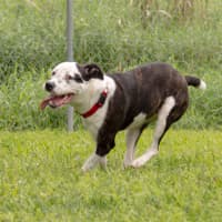Photo of Nyla