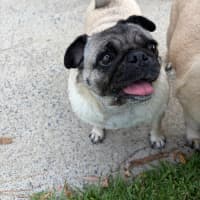 Photo of Frank