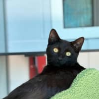 Photo of Nevaeh