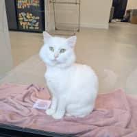 Photo of Princess