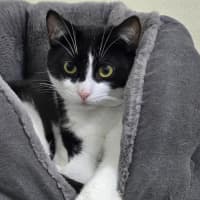 Photo of ⚓ Albie 6597 ⚓ 