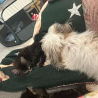 Photo of Timmy
