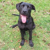 Photo of Lilly Now Rhuma