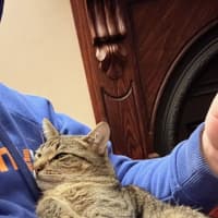 Photo of Dex & Mia