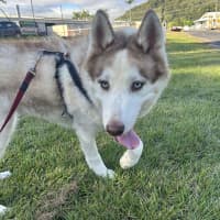 Photo of Zena