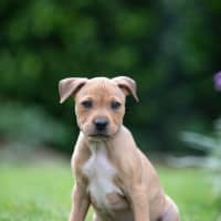 Photo of Nyla