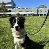Photo of Tilly