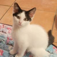 Photo of 🎀 Ribbon 🎀