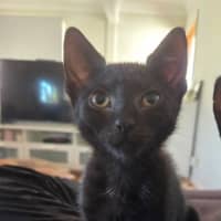 Photo of Frankie