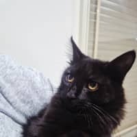 Photo of Princess 