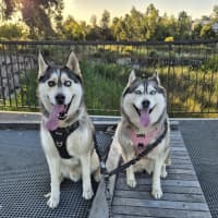 Photo of Arlo And Luna