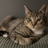 Photo of Charles