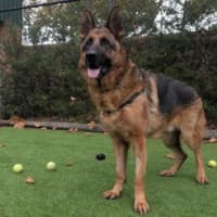 Photo of Zeus