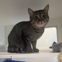 Photo of Bonnie
