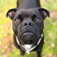 Photo of Freya