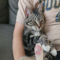 Photo of Galahad