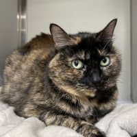 Photo of Cindy
