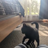 Photo of Nyx