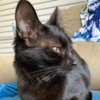 Photo of Candy