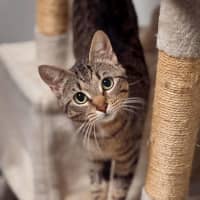 Photo of Curious Georgie